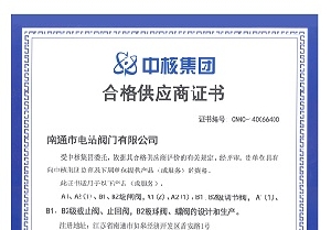 南通市電站閥門(mén)有限公司通過(guò)中核認證