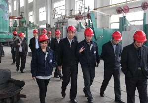 如皋市委書(shū)記姜永華赴南通電站閥門(mén)調研